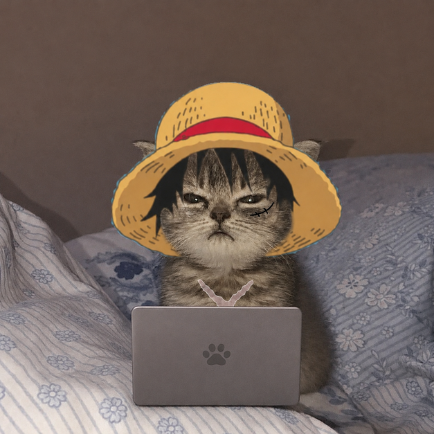 An angry kitten wearing Luffy's straw hat in front of a laptop